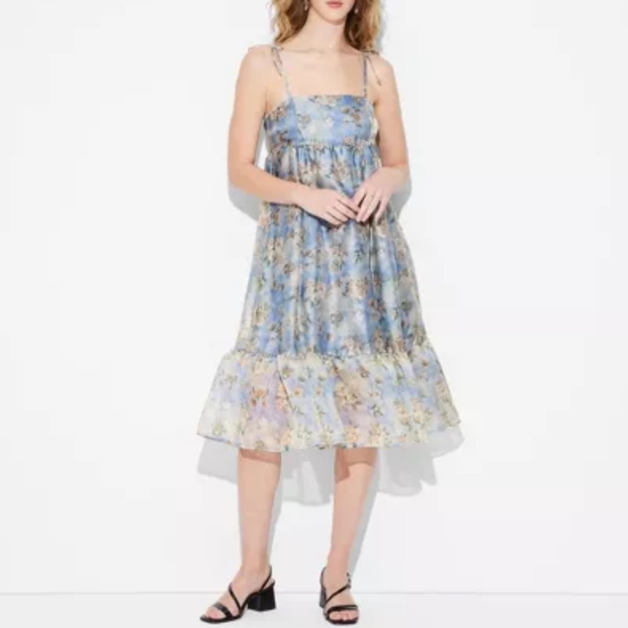 Wild Fable Blue Floral Organza Midi Babydoll Dress